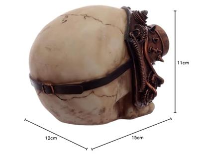 Steampunk Schedel Hoofd Woonaccessoire
