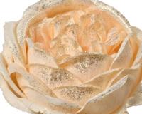 Roos polyester d9.5h57 cm champagne kerst Everlands - Everlands - thumbnail