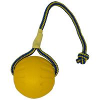 Starmark swing &apos;n fling durafoam fetch bal aan koord - thumbnail