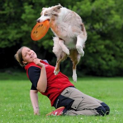 Trixie 3356 Dog Activity Dog Disc, Beetvast, Ø 23 cm, Diverse Kleuren