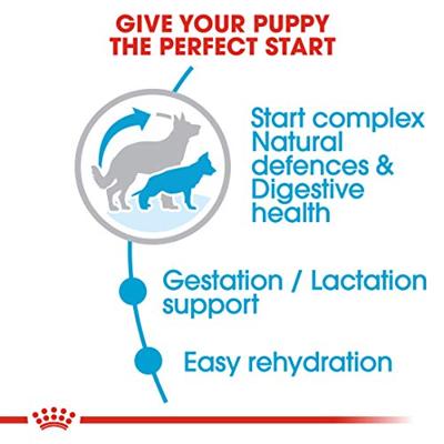 Royal Canin Maxi Starter Mother and Babydog 15 kg - thumbnail
