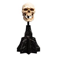 Lord of the Rings Mini Statue Skull of a Mordor Orc 14 cm - thumbnail