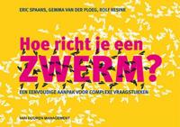 Hoe richt je een zwerm? (Paperback) - thumbnail
