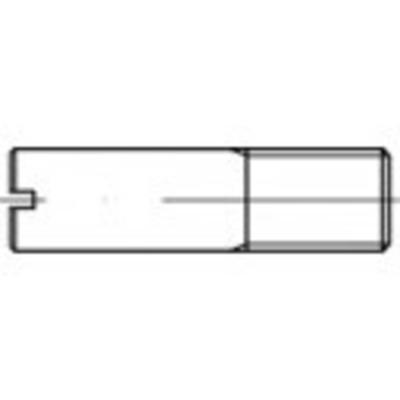 TOOLCRAFT TO-5394477 Bouten (l) 30 mm Staal Galvanisch verzinkt 10 stuk(s)