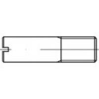 TOOLCRAFT TO-5394477 Bouten (l) 30 mm Staal Galvanisch verzinkt 10 stuk(s) - thumbnail