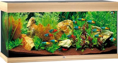 Juwel aquarium Rio 180 LED met filter zwart Juwel Gebr. de Boon - Gebr de boon