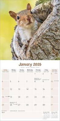 Eekhoorn Kalender 2026