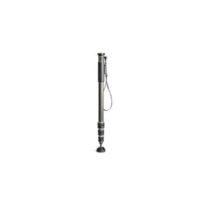 Gitzo Series 2 GM2542 monopod
