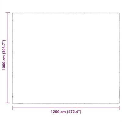 Doorzichtig zeildoek met zeilringen 10x12 m polyethyleen