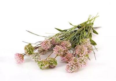 Kunst Tak Allium Roze Buitengewoon de Boet - Buitengewoon de boet