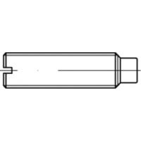 TOOLCRAFT TO-5435103 Draadpen M12 20 mm 50 stuk(s) - thumbnail