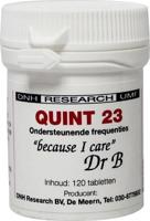 DNH Quint 23 150 Tabletten - thumbnail
