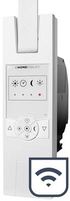 HOMEPILOT 10141545 RolloTron classic smart - Minigurt Elektrische bandopwinder 15 mm Trekkracht (max.) 45 kg Inbouw (in muur)