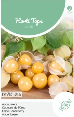 Zaden Ananaskers - Peruviana Hortitops - Hortitops Zaden Ananaskers - Peruviana Hortitops - Hortitops