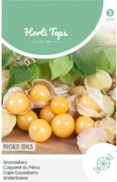 Zaden Ananaskers - Peruviana Hortitops - Hortitops - thumbnail