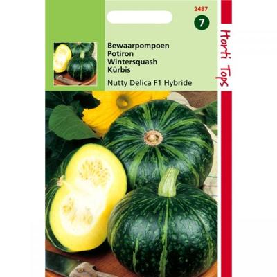 Zaden Pompoenen Nutty Delica F1 Hortitops - Hortitops