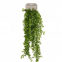 Zijdeplant Hangplant op steker Ficus Pumila kunstplant Driesprong Collection - Driesprong collection - thumbnail