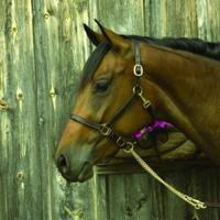 Ring Dames Majorica 17218.01.1.913.010.1 - thumbnail