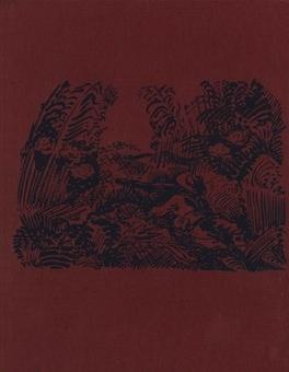 Nacht over Java - Johan Fabricius - ebook