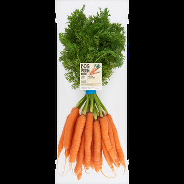 Jumbo Bospeen 23 Personen