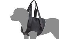 Revalidatie Tuig Hond - Voor - Maat M - thumbnail