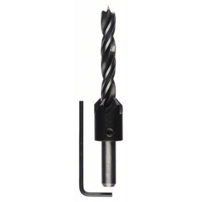 Bosch Accessories 2608596396 Hout-spiraalboor 10 mm Gezamenlijke lengte 120 mm Cilinderschacht 1 stuk(s)