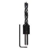Bosch Accessories 2608596396 Hout-spiraalboor 10 mm Gezamenlijke lengte 120 mm Cilinderschacht 1 stuk(s) - thumbnail