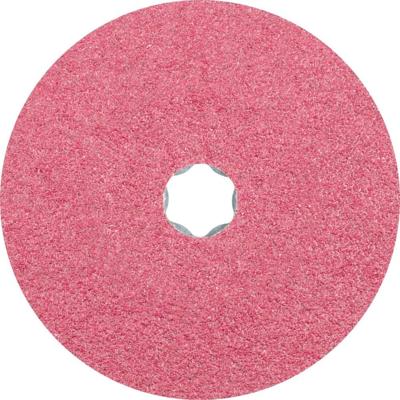PFERD TOOLS 64192103 Schuurschijf Diameter 125 mm