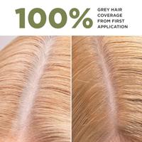 Lazartigue La Couleur Absolue Permanent Haircolour Pakket Blond Clair Set - thumbnail