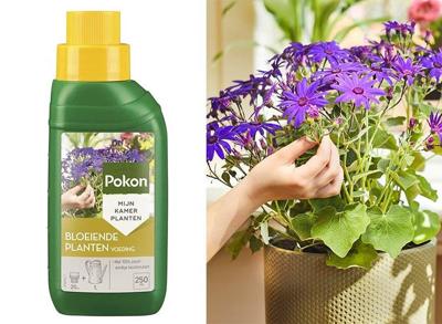 Pokon Bloeiende Planten Voeding 250ml Pokon Bloeiende Planten Voeding 250ml