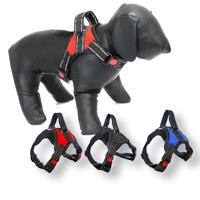 Nobleza Hondentuigje met handvat - Maat S - thumbnail