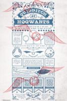 Poster Harry Potter - Quidditch at Hogwarts 61x91,5cm - thumbnail
