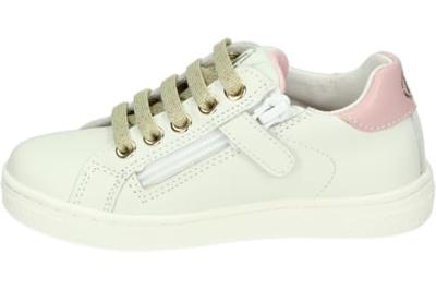 Naturino PINN - alle