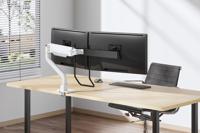 Neomounts ds75s-950wh2 full-motion desk mount, 2x 17" - 27", 8 kg, 100x100 mm, black - thumbnail
