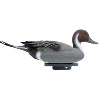 Ubbink Pijlstaart (woerd) - thumbnail