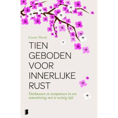 Lisette  Thooft Tien geboden voor innerlijke rust
