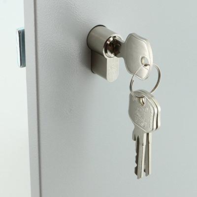 Basi Sleutelkast SS 100 PZ 2171-0100 Aantal haken 100 Grijs (metalen behuizing) Basi Sleutelkast SS 100 PZ 2171-0100 Aantal haken 100 Grijs (metalen behuizing)