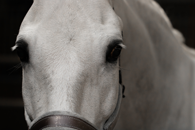 Lucky Horse Unicorn Zilver glitter spray Lucky Horse Unicorn Zilver glitter spray