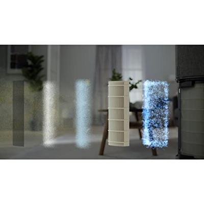 AEG AFDBTH4 Breathe 360 Pollenfilter