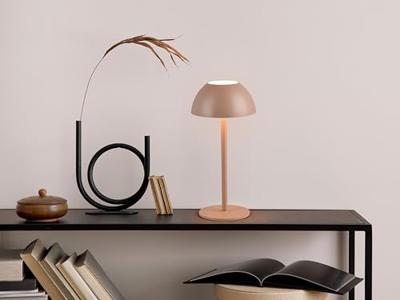 Trio Oplaadbaar tafellampjeRicardo koffiebruin - R54106165