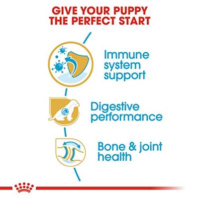 Royal Canin Puppy German Shepherd hondenvoer 2 x 12 kg - thumbnail