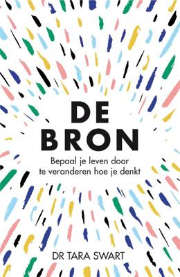 De bron (Paperback) De bron (Paperback)