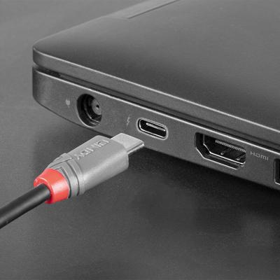 Lindy 36892 2m USB C Micro-USB B Mannelijk Mannelijk Zwart, Grijs USB-kabel