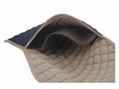 Olympus CS-43 DBL Cameratas