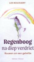 Regenboog na diep verdriet (Paperback) - thumbnail