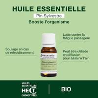 Pranarôm Essentiële Olie Grove Den Bio 10ml - thumbnail