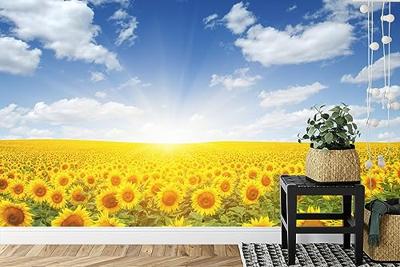Fotobehang - Veld met bloeiende Zonnebloemen, geel/blauw, te koop in 11 maten, incl behanglijm