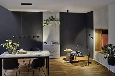 Paulmann Puric Pane I 79773 LED-hanglamp LED 28 W Zwart Paulmann Puric Pane I 79773 LED-hanglamp LED 28 W Zwart
