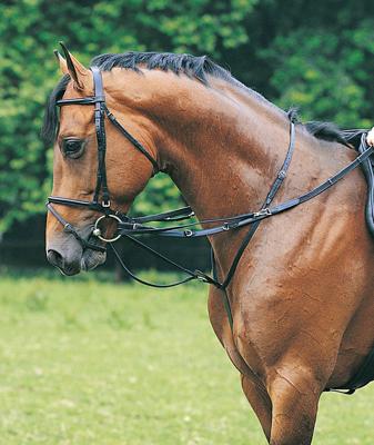 Pagony Thiedeman-teugel zwart maat:cob