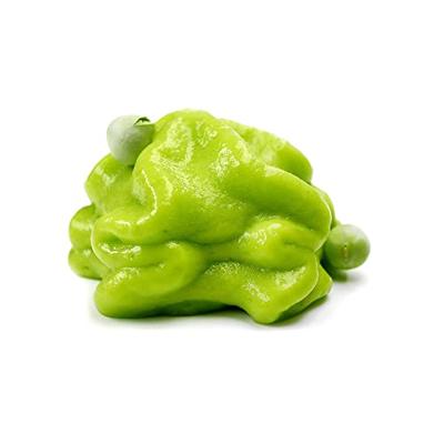 Azalea japonica &apos;Königstein&apos;